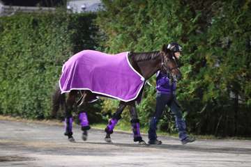 【ジャパンC】ドウデュースは❸枠③番に決定　大江助手「枠を気にするような競馬をしている馬ではない」