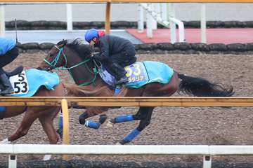 【大阪杯】１週前追い　プラダリアは池添謙一騎手を背にＣＷコースで併せ馬