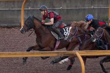 【セントライト記念】ログラール余力残して11秒8　松永幹師「状態は良さそう」