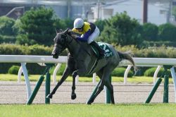 【Ｕ指数的分析の結論！】小倉記念2023　ディフェンディングチャンピオンの"淒馬"マリアエレーナを信頼！