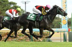 【新潟２歳Ｓ2024ほか】伊吹雅也のピックアップ競馬データ～メイン「1点」分析編