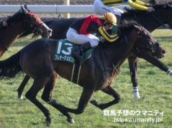 【重賞データ分析】京都牝馬Ｓ2024　5項目で絞られた有力候補は、1番手プレサージュリフト含む3頭のみ