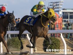 【ブリーダーズカップクラシック2023】日本馬の近況（11月2日（木曜））