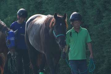 【スプリンターズS　俺のチェックポイント】骨折休養から半年ぶりのルガル　ぶっつけ本番の今回の取捨は？