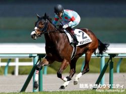 【重賞データ分析】京都牝馬S2022　4項目で減点のない4頭からギルデッドミラーを最上位に