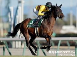 【ROBOTIPの勝率予測】東京新聞杯2023　競走馬能力重視の予測で馬券対象からオミットされる人気馬は？