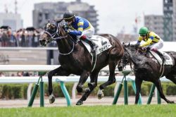 【Ｕ指数的分析の結論！】札幌2歳S2022　人気の盲点になっているU指数上位馬で高配当を狙う！