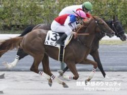 【レパードＳ2024】勝ち馬予想の金言録「へんてこりんな名前には強い馬が多い」