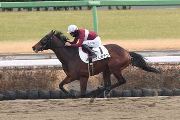 【3歳新馬・中山4R】イムホテプが圧巻の9馬身差V　横山武史騎手「癖もないですし、これから楽しみ」