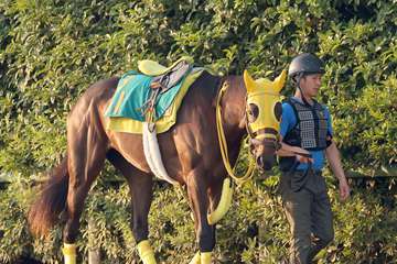 【今週の注目新馬】ツインピークスの半兄はダートＧⅠ４勝ウシュバテソーロ