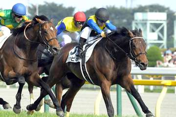 日本ダービー馬マカヒキが引退　種牡馬へ