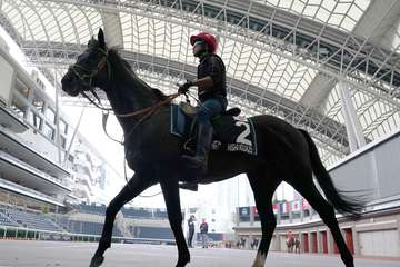 【香港Ｃの注目点】日本調教馬２年ぶりの勝利なるか　ロマンチックウォリアーは連覇を狙う