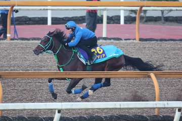 【有馬記念】プラダリアは栗東ＣＷで納得の１１秒９　ムルザバエフ騎手から気合注入！