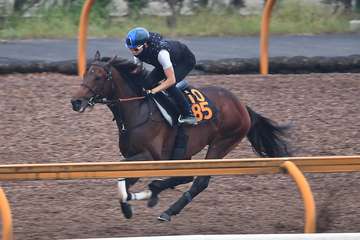【神戸新聞杯】ハーツコンチェルト馬なり１２秒１　松山弘平騎手「前向きさがあって反応もいい」