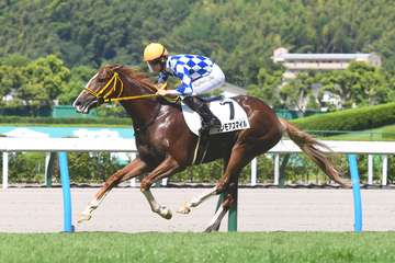 【2歳次走報】ワンモアスマイルは武豊騎手で野路菊Sへ