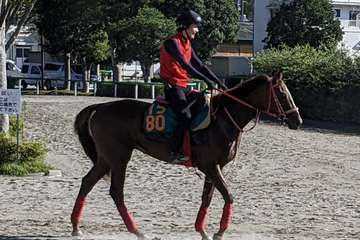 フィッシャーズ・ンダホの愛馬ワンダホーがゲート試験に合格