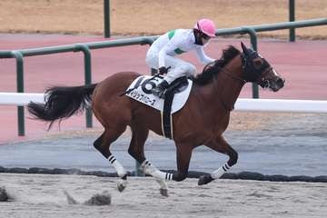 【3歳新馬・中京3R】フィリップバローズが後続を寄せ付けず快勝！　ドウデュースの半弟エンダードラゴンは2着