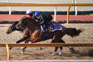 【AJCC　1週前追い切り】ダノンデサイルは戸崎圭太騎手を背にCWコースで好時計「楽に動けていてすごく乗りやすかった」