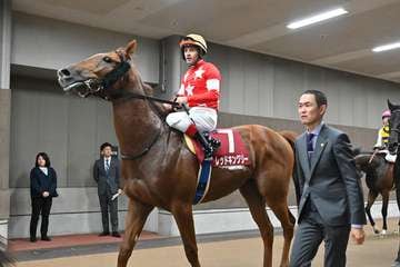 【東スポ杯2歳S】レッドキングリーは伸びを欠き3着　ルメール騎手「もう少し落ち着きが出てくれば」