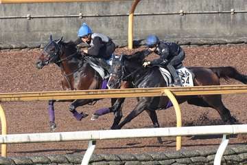 【毎日王冠】1週前追い　ヨーホーレイクは一杯に追われ上々の伸び披露　岩田望来騎手「状態は上がってきています」