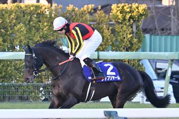 【有馬記念】一昨年の日本ダービー馬シャフリヤールは５着　松山弘平騎手「差のない競馬をしてくれました」