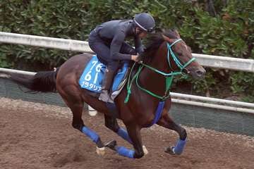 【京都大賞典】プラダリア上昇12秒7　池添学調教師「少しずつ良くなっている」