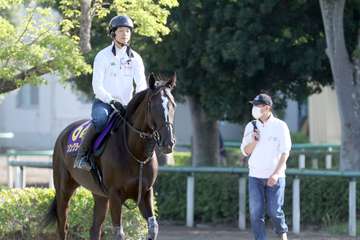 【安田記念】調教後の馬体重が発表　ソングラインは１３キロ増、ソダシは前走と変わらず