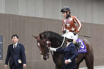 【フェブラリーＳ】地方所属馬はミックファイアが最先着の７着　矢野貴之騎手「いい競馬でしたよ」