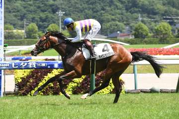 【黒松賞】セイウンビッグバンが新馬勝ちの6F戦で好勝負