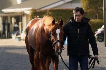 【AJCC】菊花賞5着ビザンチンドリーム　サウジ遠征に向けて弾みを