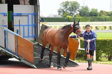 【安田記念】香港馬２頭が東京競馬場に到着