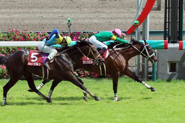 【京都ハイＪ】１０歳馬タガノエスプレッソが逃走Ｖ