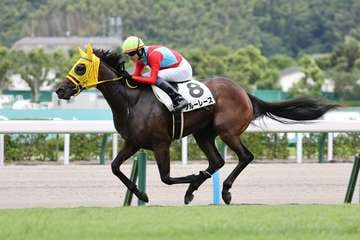 【２歳次走報】ブルーレースは小倉２歳Ｓへ