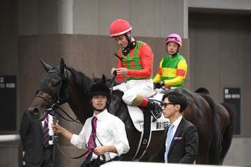 【日本ダービー】皐月賞２着コスモキュランダは６着　Ｍ・デムーロ騎手「馬も緊張していたのかもしれません」 