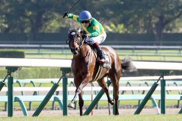 【サフラン賞】サンティーテソーロが３馬身差Ｖ　鮫島駿「良さを最大限に生かせた」