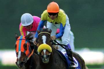 ２００１年のエリザベス女王杯勝ち馬トゥザヴィクトリーが昨年５月に死んでいた