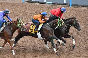 【富士Ｓ】１週前追い　大竹厩舎の２頭が併せ馬で好仕上がりをアピール