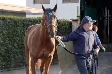 【有馬記念】現役時代3勝の岡部幸雄氏が分析　①ダノンデサイル好位インから抜け出す！