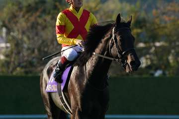 【３歳以上次走報】菊花賞３着ジャスティンパレスはマーカンド騎手で有馬記念へ
