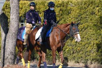 【日経新春杯　ズバッと！言いたい放題】サンライズアース態勢整った！　ホールネス牡馬相手でも好勝負