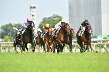 【日本ダービー】関東馬が１０頭出走　過半数を占めるのは実に３４年ぶり
