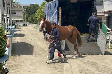 【日本ダービー】関西馬が東京に続々と到着　シンエンペラー陣営「皐月賞とは見た目も中身も全然違う」
