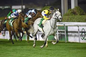 日本、サウシアラビアで重賞を制したシルヴァーソニックが引退、乗馬に