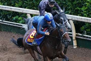 【秋華賞】タガノエルピーダ、坂路で1馬身先着　団野大成騎手「良くなっている」