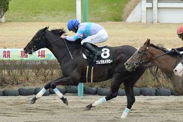 ナムラカメタローが抹消、園田移籍へ　２０２０年佐賀記念勝ち馬