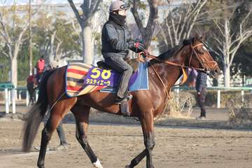 【大阪杯】昨年の日本ダービー馬タスティエーラが輝きを取り戻す