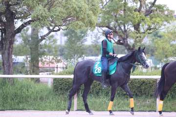 【今週の注目新馬】マックスセレナーデは大型牝馬ながらスピード感も十分