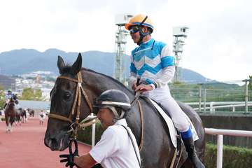 １１歳馬マイネルプロンプトがＪＲＡ平地の最高齢勝利記録を更新／阪神１２Ｒ