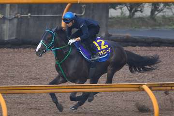 【宝塚記念】ドゥラエレーデは日本ダービー落馬の鬱憤晴らしへ軽量生かす