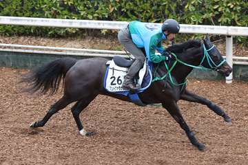 【阪神牝馬Ｓ】アンドヴァラナウトは坂路で最終調整　池添師「雨がやんでほしい」